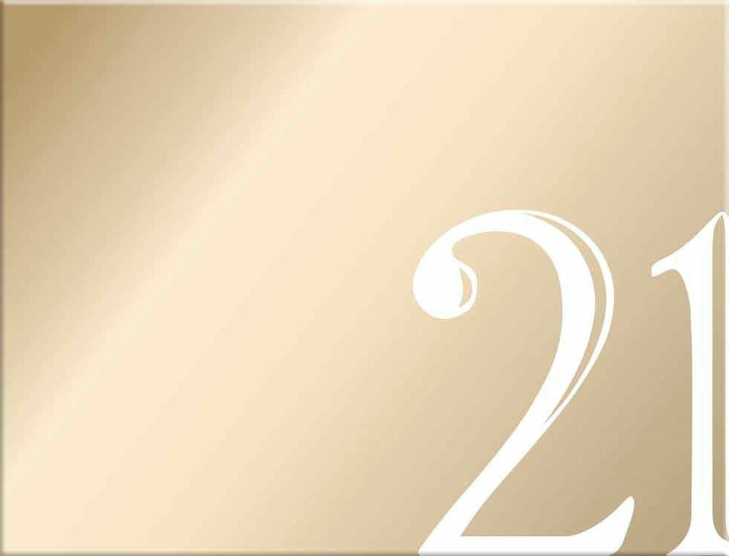 21 ROSE GOLD GUEST BOOK 